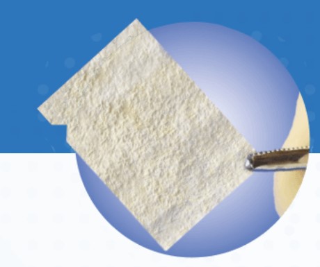 Amnio Maxx amniotic allograft