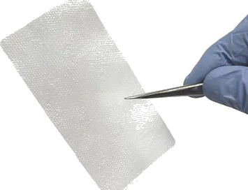 Membrane Wrap amniotic allograft